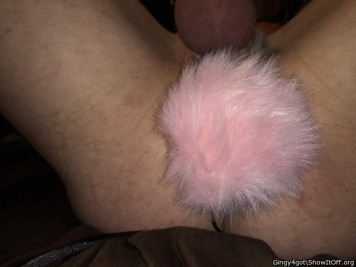 Bunny out to play