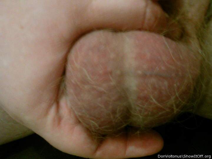 Just the Balls!