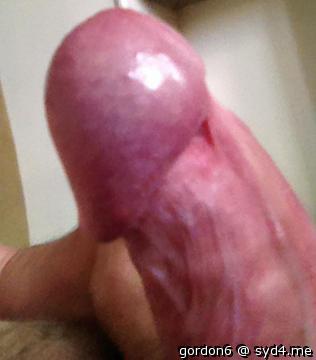 Photo of a middle leg from gordon6