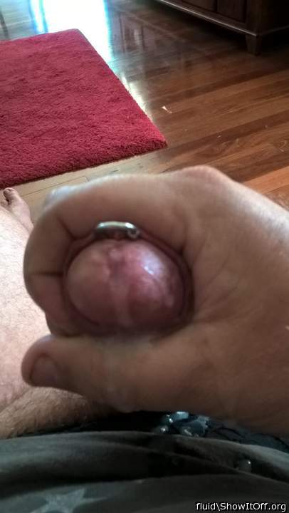 Photo of a cavalier from fluid