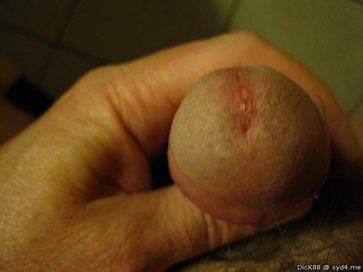 Photo of a cock from Dick88
