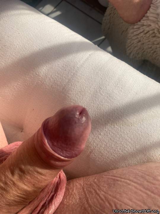 Photo of a pecker from Ulrich54