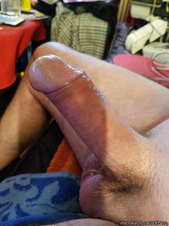 Photo of a horn from dischwa