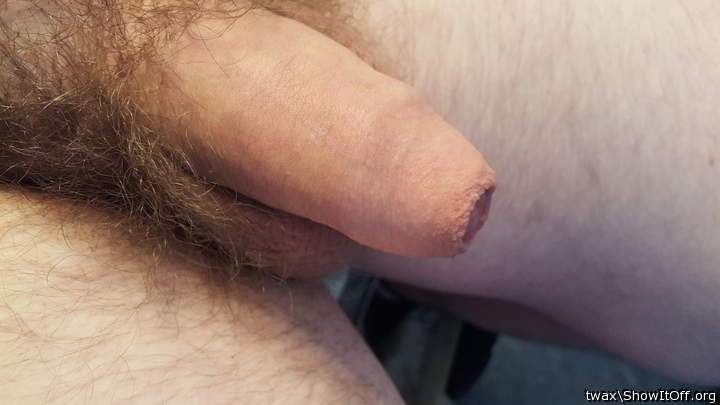 Photo of a ram rod from twax