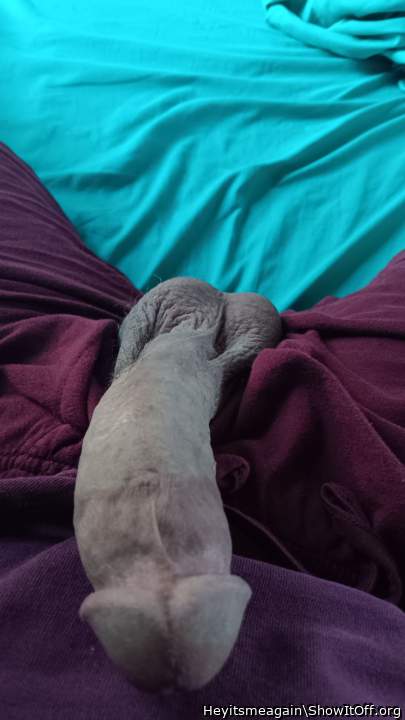Photo of a penis from Heyitsmeagain