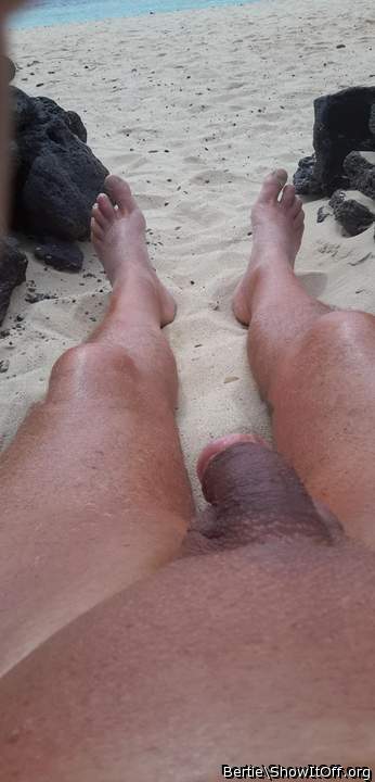 Photo of a wiener from Bertie