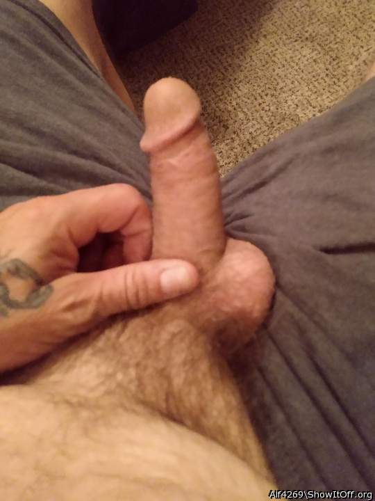 Photo of a meat stick from Alf4269