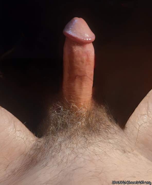 Photo of a pecker from JPHARD