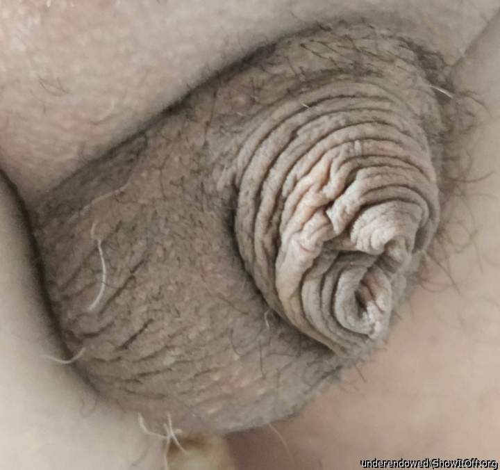 puny little dick