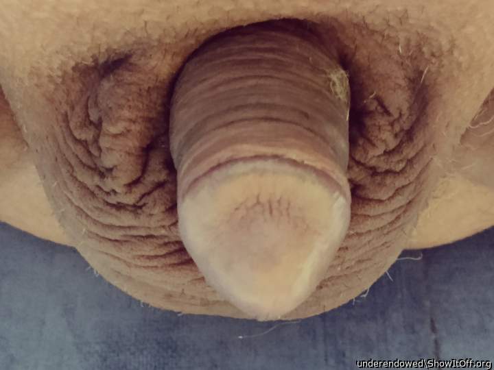 Mini dick