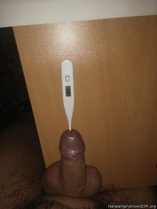 Cock body temperature