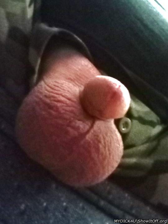 Photo of a short leg from MYDICK4U