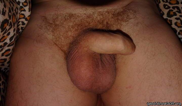 Testicles Photo from gebol