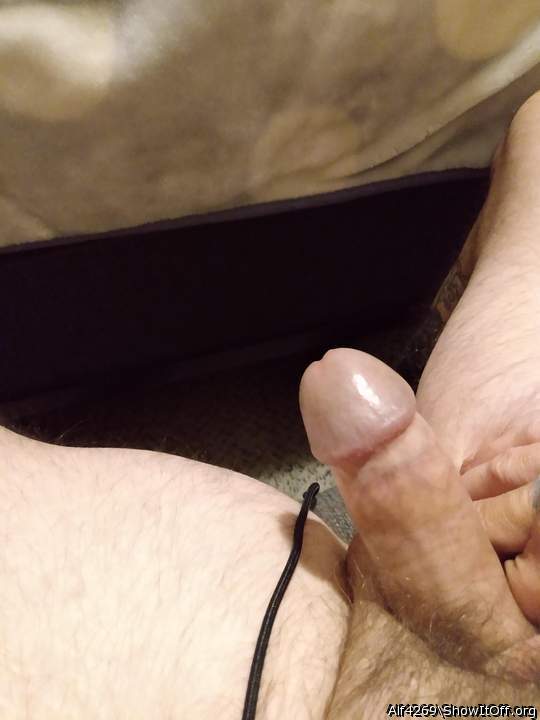 Photo of a boner from Alf4269
