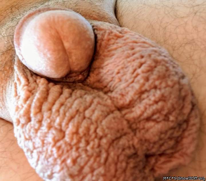 Photo of a weasel from M*C*S