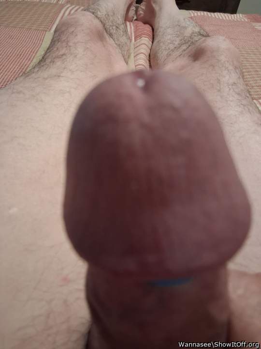 Photo of a middle leg from Wannasee