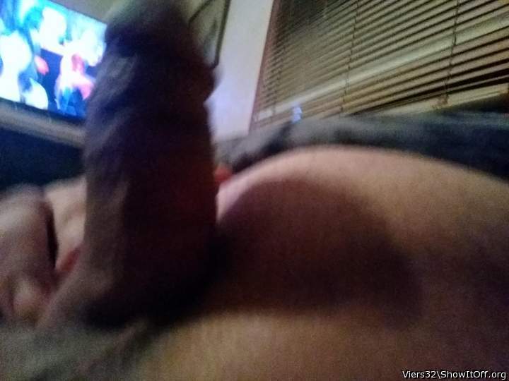 Photo of a lizard from Viers32