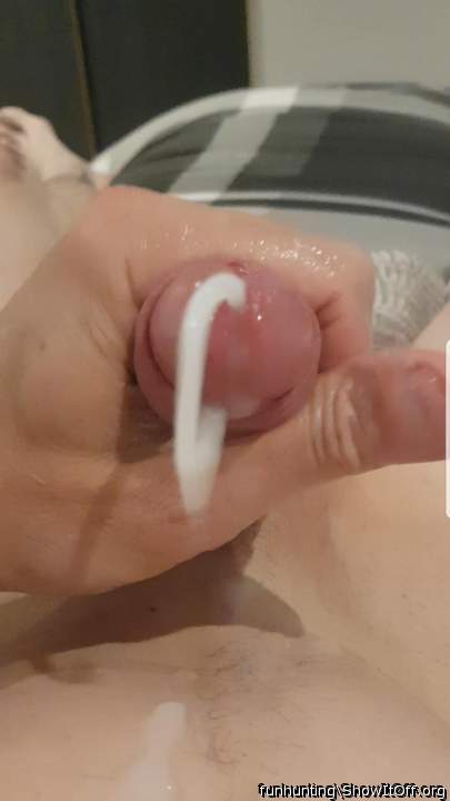 Huge load,who wants it ?