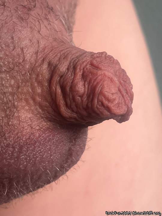 Photo of a hot dog from DickFun1981
