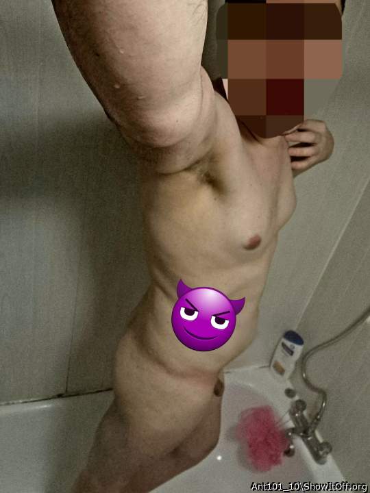 Adult image from Ant101_10