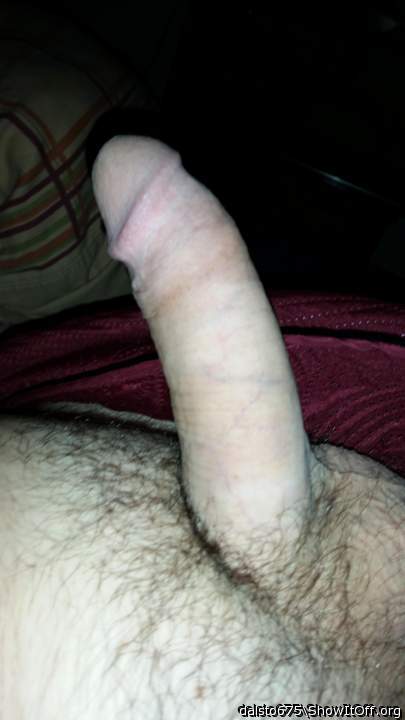 Photo of a dong from dalsto675