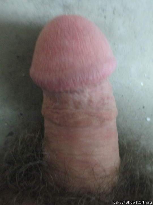 Photo of a sausage from cskyy