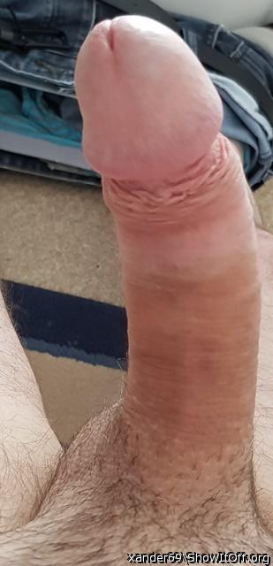 Photo of a hot dog from xander69