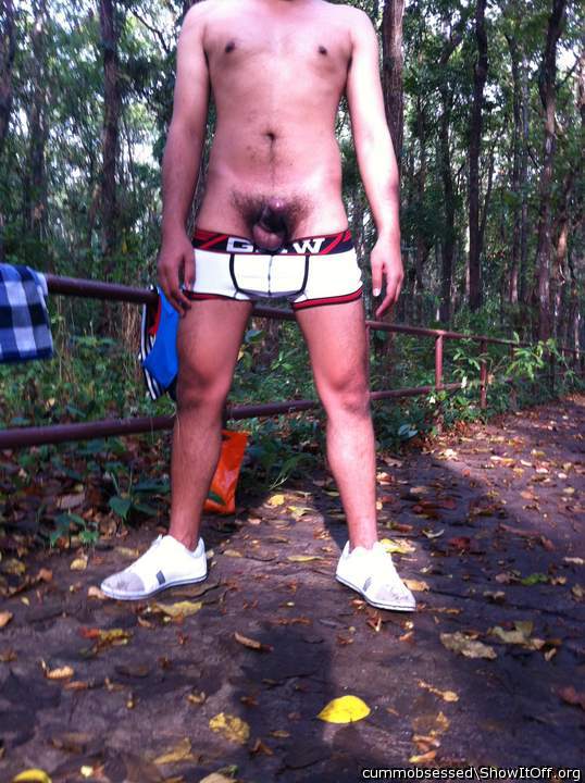Photo of a cavalier from cummobsessed