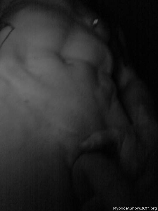 Photo of a middle leg from Mypride