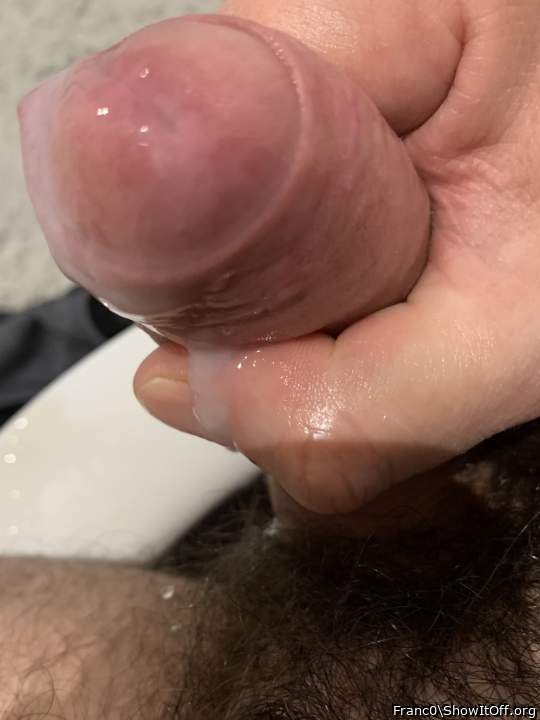 Photo of a rooster from Franc0