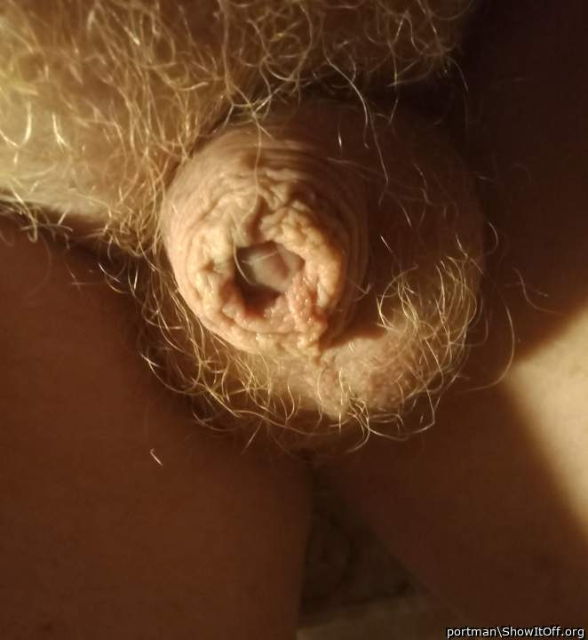 Ginger
