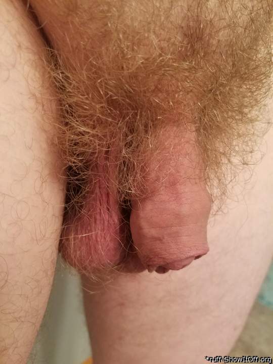 nice cock & Balls 