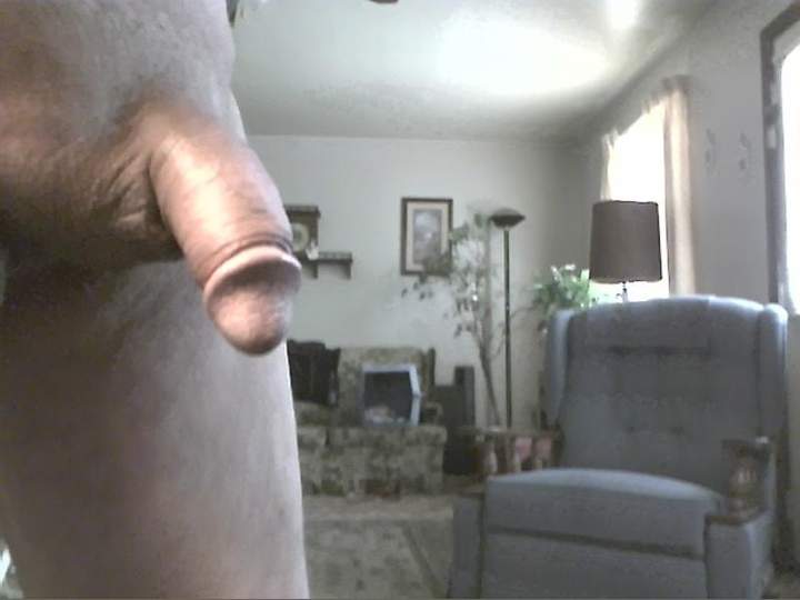 Photo of a bald-headed mouse from mayiwatch