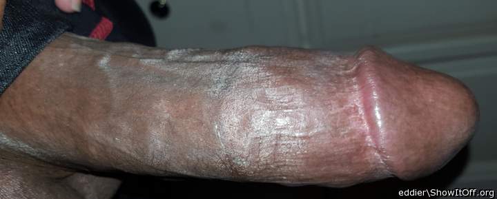 Photo of a python from eddier