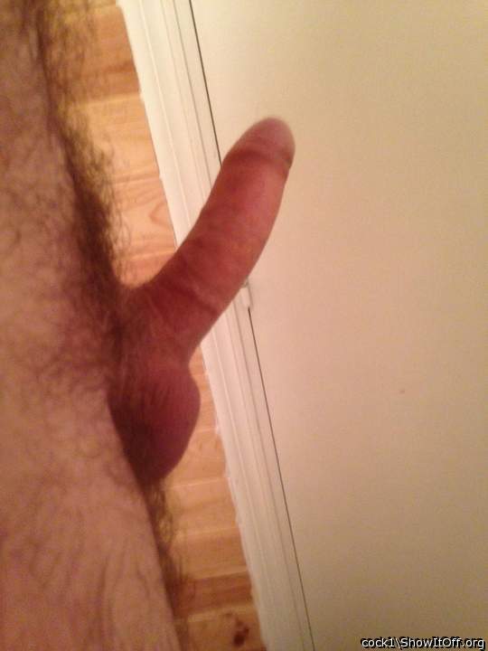 Photo of a python from Cock1