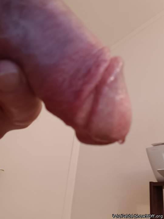 Photo of a prick from PoloFields