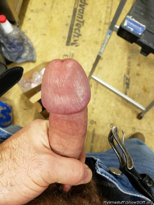 Photo of a snake from Mylimastuff