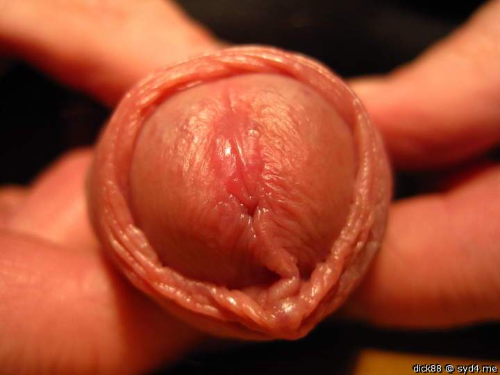 Photo of a snake from Dick88