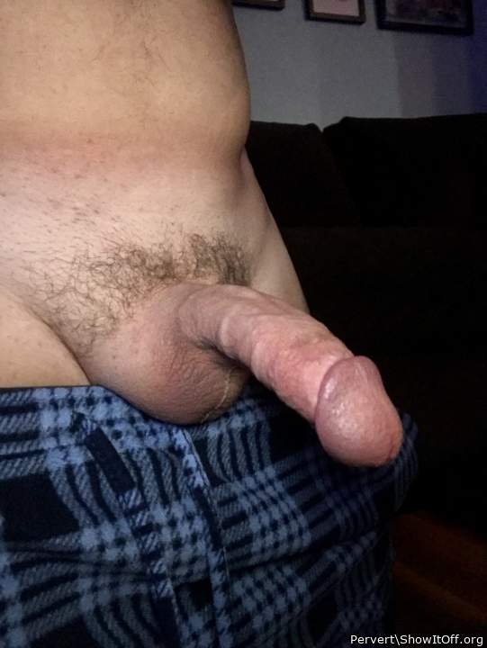 Photo of a dick from Pervert