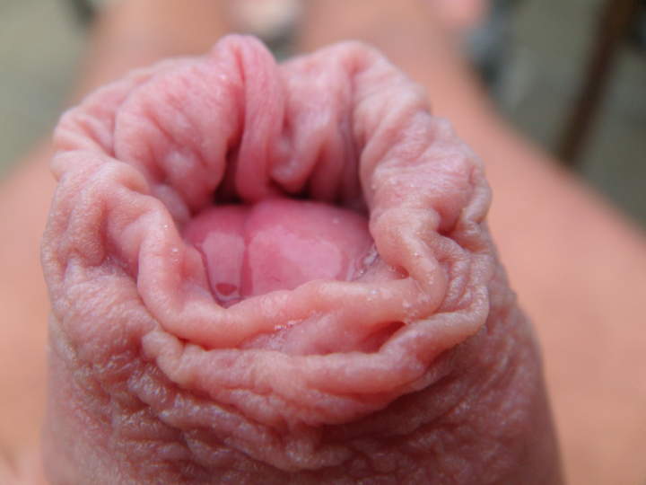 Photo of a hot dog from sivad666