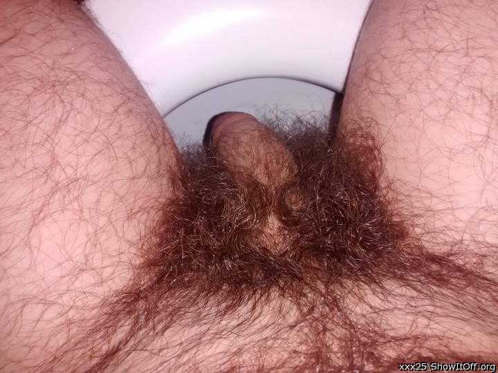 awesome looking bush 