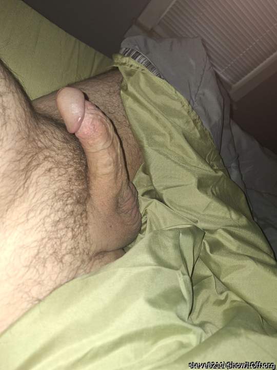 Photo of a ram rod from steve8211