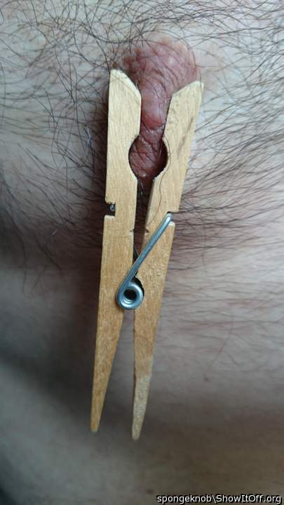 Photo of a middle leg from spongeknob