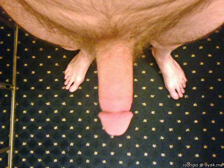 Photo of a weasel from rodrigid