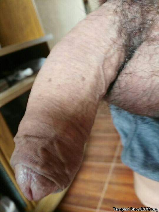 Photo of a horn from Templar