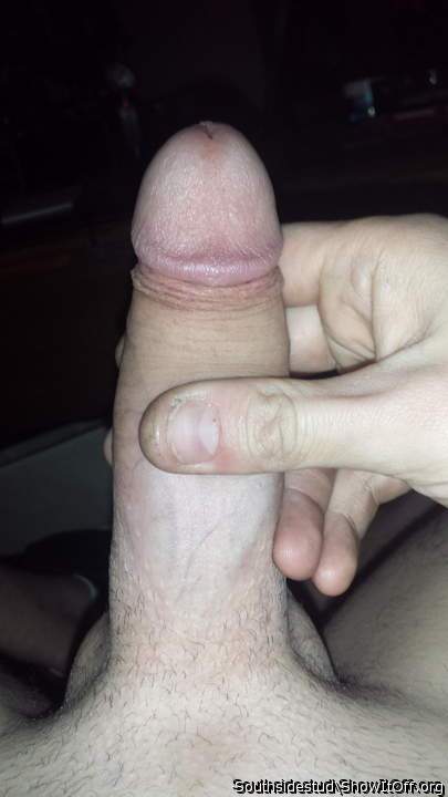 Photo of a middle leg from southsidestud