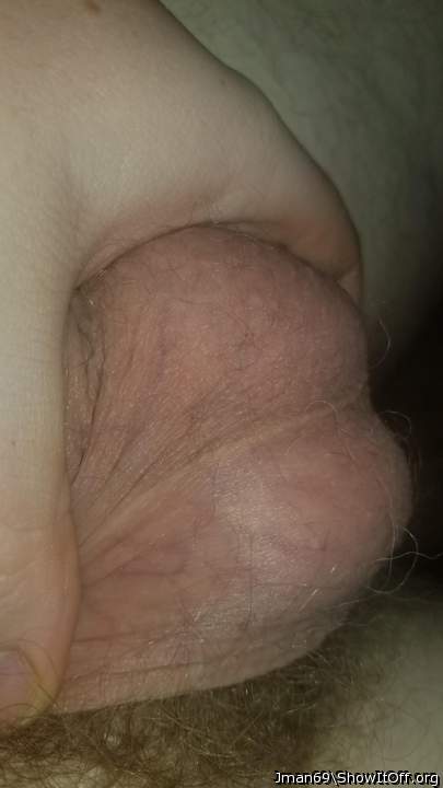 Photo of a dong from Jman69