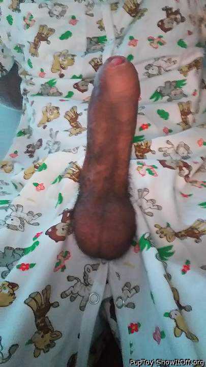 Photo of a horn from PupToy