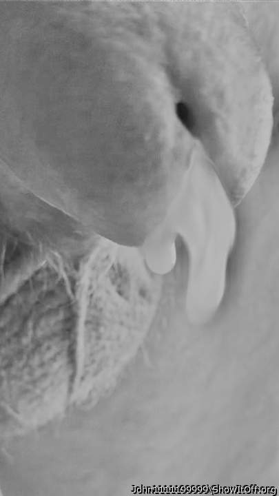 Photo of a horn from John1111199999