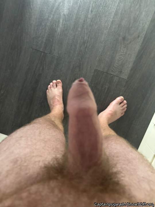 Morning Wood